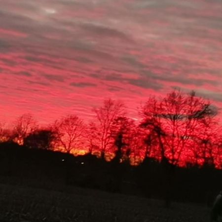Ferienwohnung Aurich Ostfriesland Exteriör bild