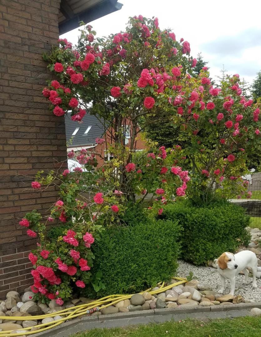 Ferienwohnung Aurich Ostfriesland Exteriör bild